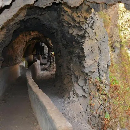 Live Puertito Muelle Puertito de Guimar