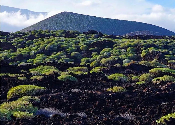 Appartamento Live Puertito Muelle Puertito de Guimar