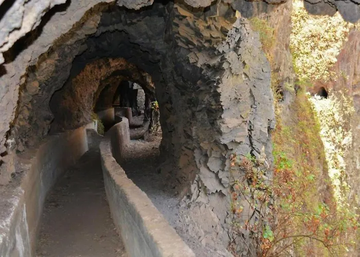 Live Puertito Muelle *